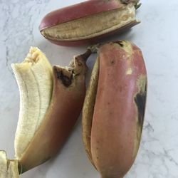 Ready-to-Grow Gardens - Red bananas - the sweetest!