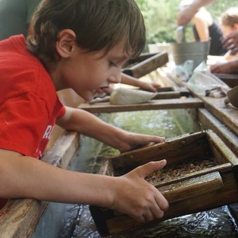 Pisgah Forest Gem Mine - Kids Activities Near Me - Pisgah Forest, North Carolina
