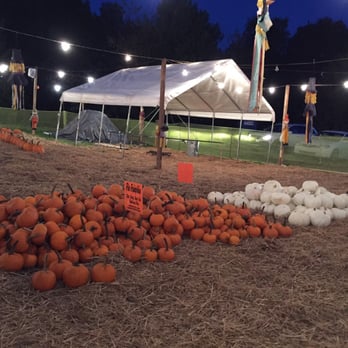 Randy's Pumpkin Patch - They even have white pumpkins. - Pumpkin Patches Near Me - Lawrenceville, Georgia Randy's Pumpkin Patch - They even have white pumpkins. - Pumpkin Patches Near Me - Lawrenceville, Georgia
