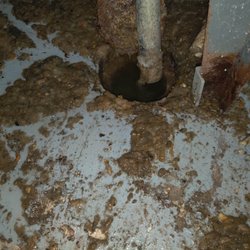 Realty Trust Services - All raw sewage for two years.