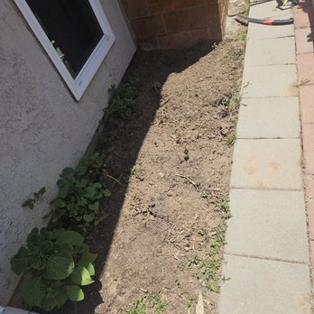Genesis Tree Care - Tree Services Near Me - Whittier, California Genesis Tree Care - Tree Services Near Me - Whittier, California