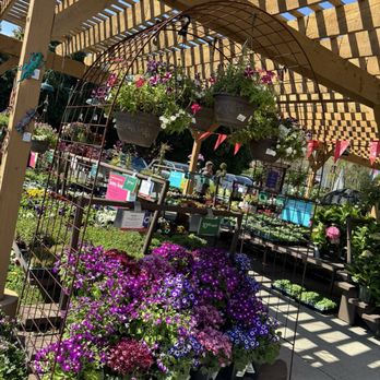Armstrong Garden Centers - Nurseries & Gardening Near Me - Glendale, California Armstrong Garden Centers - Nurseries & Gardening Near Me - Glendale, California