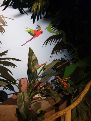 SEA LIFE Konstanz by null