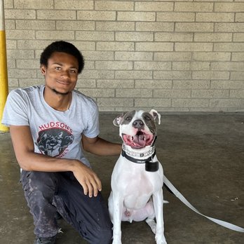 Hudson's Canine Kennels - Pet Training Near Me - Anaheim , California Hudson's Canine Kennels - Pet Training Near Me - Anaheim , California