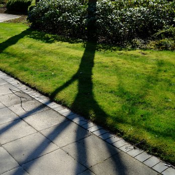Lawn & Order Landscaping - Landscaping Near Me - Cary, North Carolina Lawn & Order Landscaping - Landscaping Near Me - Cary, North Carolina
