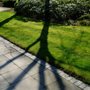 Photo of Lawn & Order Landscaping
