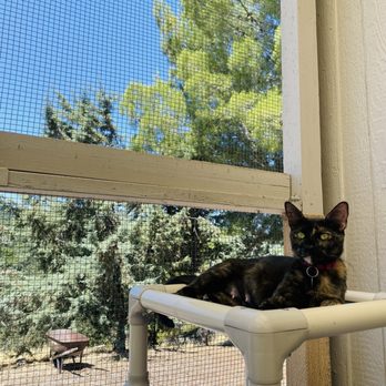 Woods Humane Society - North County - Animal Shelters Near Me - Atascadero, California