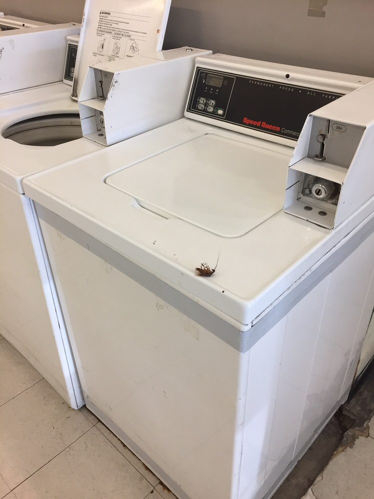 USA COIN LAUNDRY Updated August 2024 5168 Atlantic Ave, Long Beach