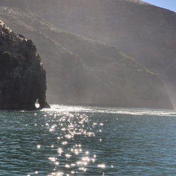 Danielle Peterson - Cruise Planners - Elephant Rock, New Zealand - Travel Agents Near Me - Columbia, Maryland Danielle Peterson - Cruise Planners - Elephant Rock, New Zealand - Travel Agents Near Me - Columbia, Maryland