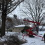 Photo of Arbor Pro Tree Service