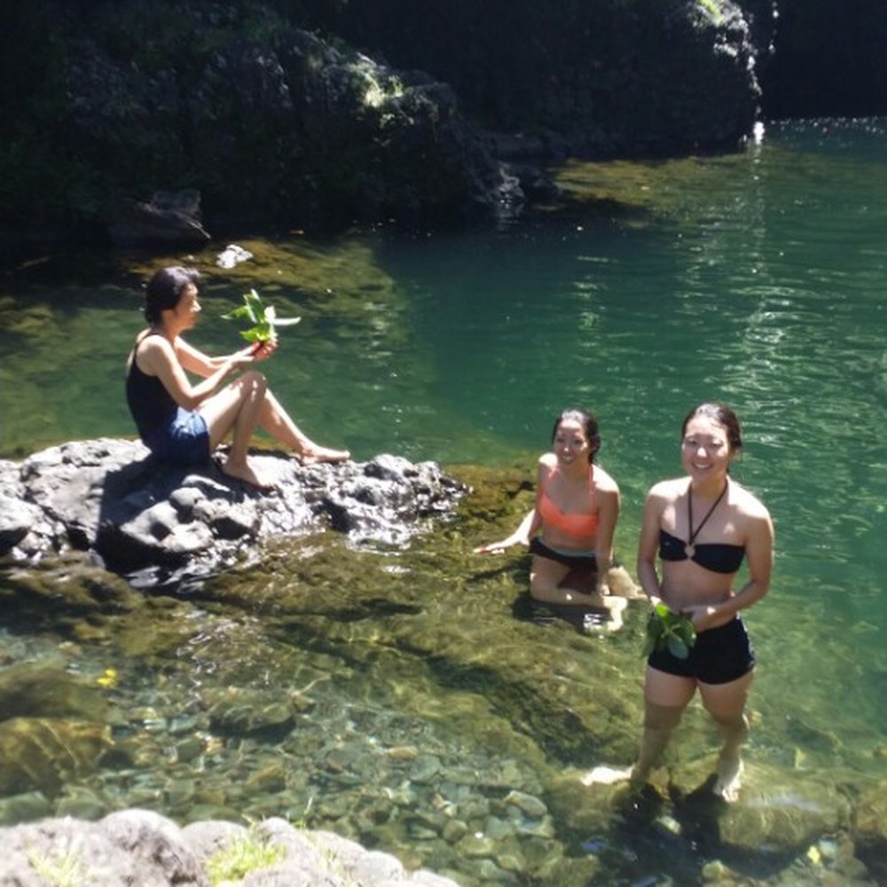Maui's Private Guide - Is this real life or is this just fantasy - Beer Tours Near Me Maui's Private Guide - Is this real life or is this just fantasy - Beer Tours Near Me