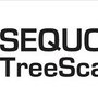 Sequoia Treescape