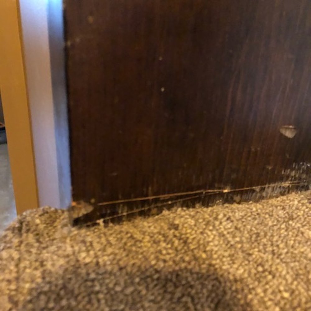 National Floors Direct - Knife damage - Flooring Near Me National Floors Direct - Knife damage - Flooring Near Me