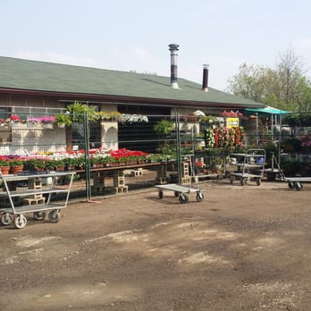 Benedetto's Greenhouse - It's blooming! - Nurseries & Gardening Near Me - Gormley, Ontario Benedetto's Greenhouse - It's blooming! - Nurseries & Gardening Near Me - Gormley, Ontario