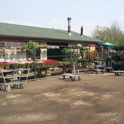 Benedetto's Greenhouse - It's blooming!