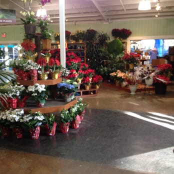 Armstrong Garden Centers 54 Photos 51 Reviews Nurseries