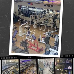 Timber Gym