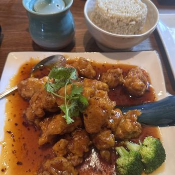 Peking Duck House - General Tso's Chicken - Chinese Near Me - Pompano Beach, Florida Peking Duck House - General Tso's Chicken - Chinese Near Me - Pompano Beach, Florida
