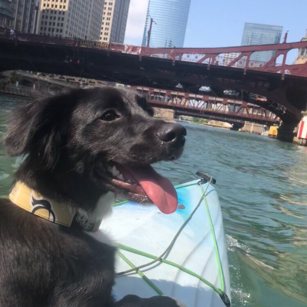 Wateriders Kayak Tours - Boating Near Me - Chicago, Illinois Wateriders Kayak Tours - Boating Near Me - Chicago, Illinois
