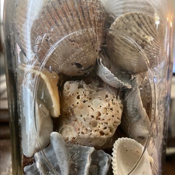 Seaside Park - Large bits and pieces of shells. - Beaches Near Me - Fernandina Beach, Florida Seaside Park - Large bits and pieces of shells. - Beaches Near Me - Fernandina Beach, Florida