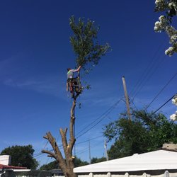 Clear View Tree Service
