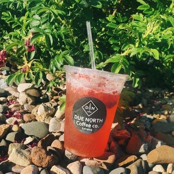 Due North Coffee - Coffee & Tea Near Me - Kasson, Minnesota