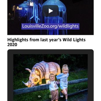 Wild Lights - From website - Festivals Near Me - Louisville, Kentucky Wild Lights - From website - Festivals Near Me - Louisville, Kentucky
