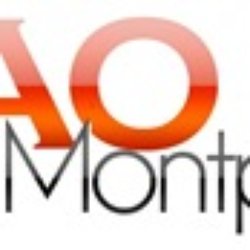 Gao Montpellier