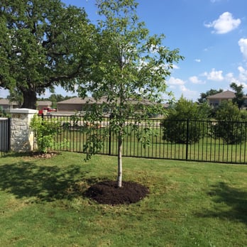 Hillside Nursery - Nurseries & Gardening Near Me - Georgetown, Texas