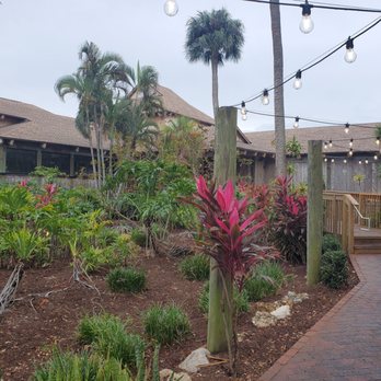 Rusty Pelican - Seafood Near Me - Tampa, Florida