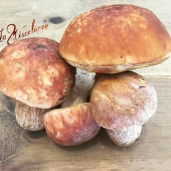 La Miscelánea - Pocini!!! Delicioso regalo de la madre tierra.
