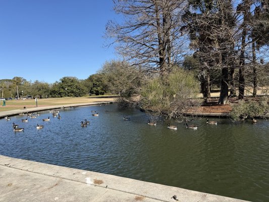 Hampton Park by null