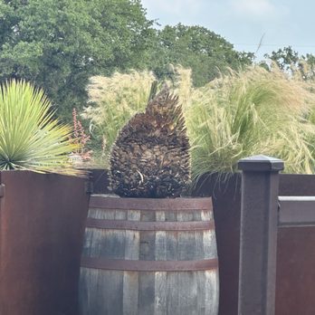 Desert Door - Distilleries Near Me - Driftwood, Texas Desert Door - Distilleries Near Me - Driftwood, Texas