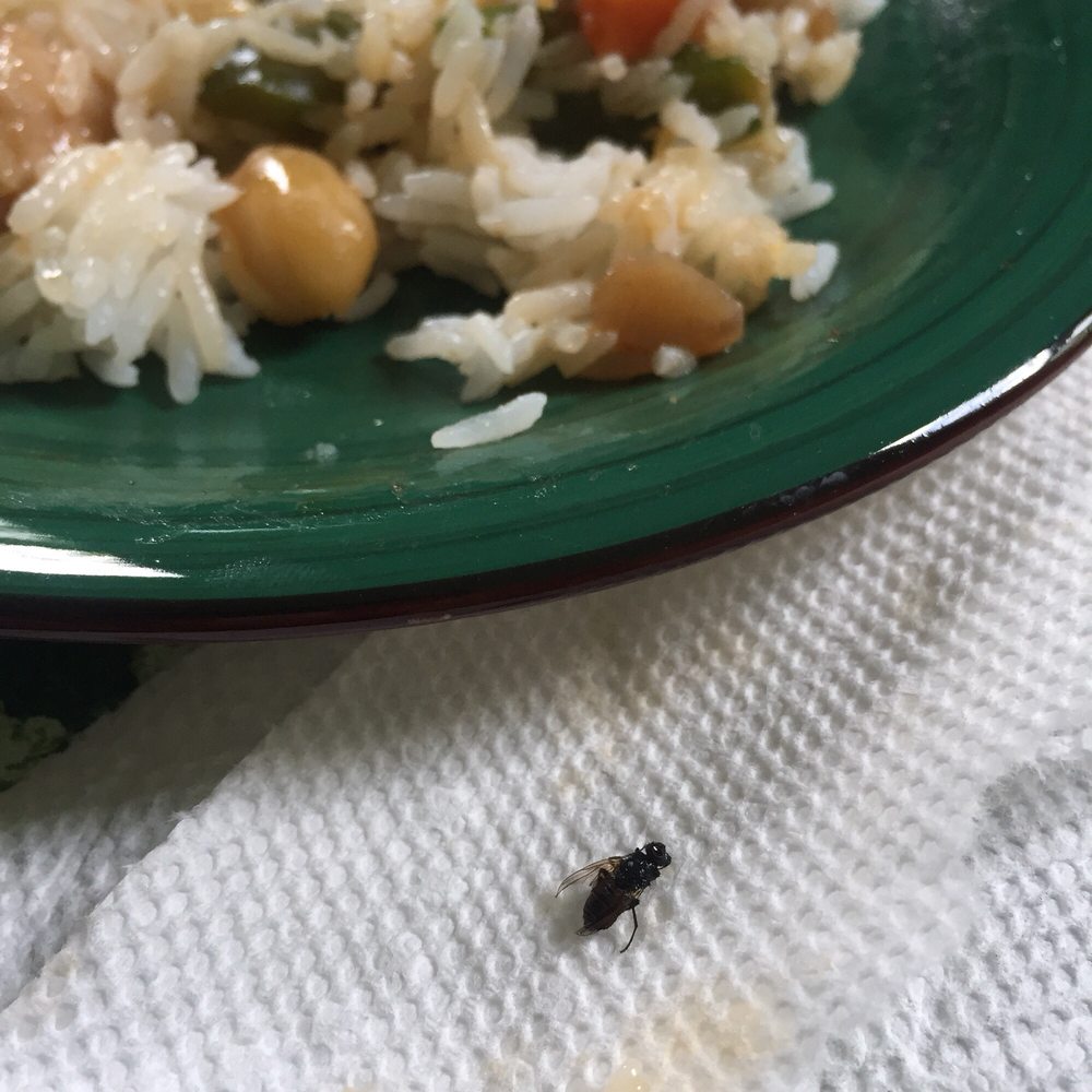 MEN AT WOK RESTAURANT 12 Photos & 58 Reviews Chinese 1 Glen Rd