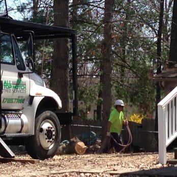 Top Notch Tree Service - Working together - Tree Services Near Me - Fredericksburg, Virginia Top Notch Tree Service - Working together - Tree Services Near Me - Fredericksburg, Virginia