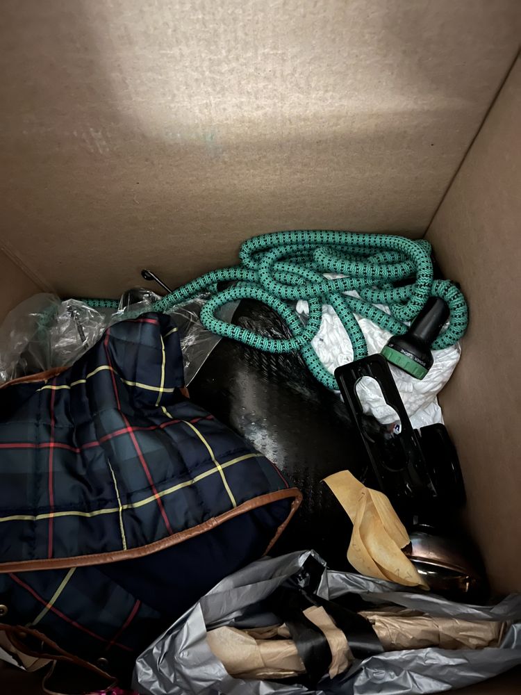 ALL AMERICAN RELOCATION INC