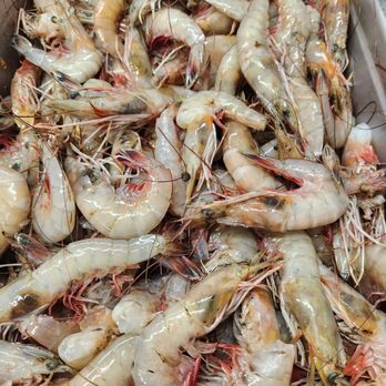MD'z Plaze - Seafood Markets Near Me - Franklin, Louisiana MD'z Plaze - Seafood Markets Near Me - Franklin, Louisiana