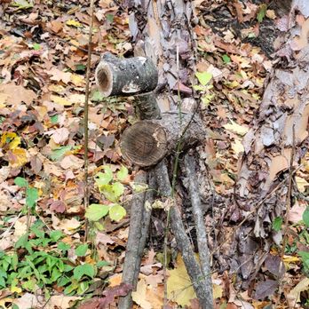 Walhalla Ravine - Cute little deer sculpture - Landmarks & Historical Buildings Near Me - Columbus, Ohio Walhalla Ravine - Cute little deer sculpture - Landmarks & Historical Buildings Near Me - Columbus, Ohio
