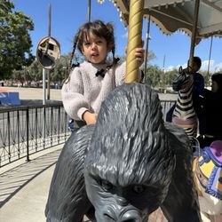 Great Park Carousel - Two days in a row!