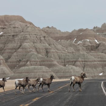 Badlands National Park - Parks Near Me - Interior, South Dakota
