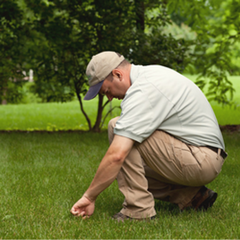 Spring-Green Lawn Care - a man kneeling down to pick up a bird - Lawn Services Near Me - Valparaiso, Indiana Spring-Green Lawn Care - a man kneeling down to pick up a bird - Lawn Services Near Me - Valparaiso, Indiana