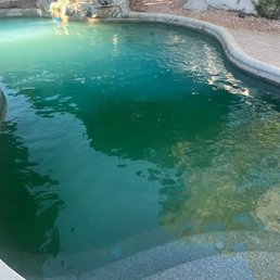 Our pool was turning green and Michael did a great job.