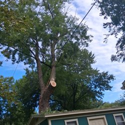 Alvarado Tree Services