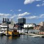 Photo of Vibe and Wave Charters