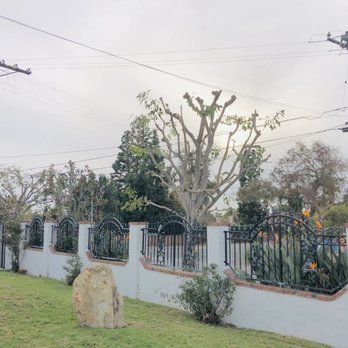 Ortega Tree Service - Trees trimmed - Tree Services Near Me