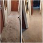 1 and Done Carpet Cleaning & Restoration