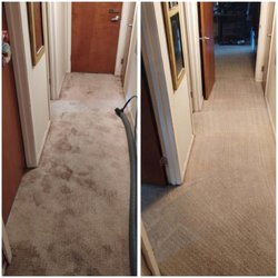 1 and Done Carpet Cleaning & Restoration - Another one "done right the first time"
www.carpetcleaningcompanyfortworth.com