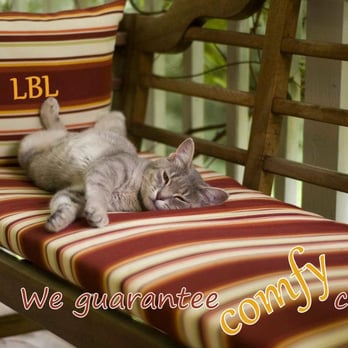 Large Breed Lodging - We also board cats!!! - Pet Sitting Near Me - Morgantown, West Virginia