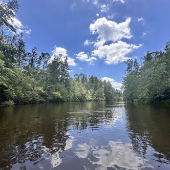 Blackwater Canoe Rental - Serene perfect day for a nice refreshing float - Rafting/Kayaking Near Me - Milton, Florida