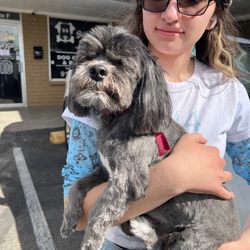 Barley's Kutz Grooming And Boutique